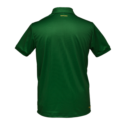 Herren-Sportpolo grün